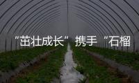 “茁壯成長”攜手“石榴籽”一起做公益 上好體育課，講好普通話