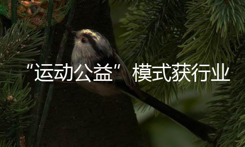 “運動公益”模式獲行業(yè)認可，Keep榮獲第十三屆公益節(jié)兩大獎項