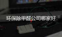 環(huán)保除甲醛公司哪家好