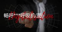 暢呼***呼吸機(jī)(圖)