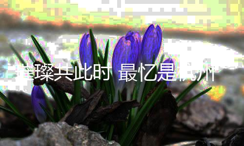 璀璨共此時(shí) 最憶是杭州——杭州亞運(yùn)會(huì)閉幕式側(cè)記
