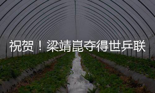 祝賀！梁靖崑奪得世乒聯(lián)冠軍賽韓國(guó)站男單冠軍