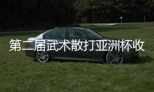 第二屆武術(shù)散打亞洲杯收官：中國隊(duì)奪9金2銀居榜首