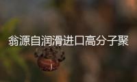 翁源自潤滑進(jìn)口高分子聚乙烯板