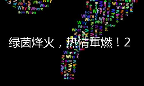 綠茵烽火，熱情重燃！2024中國網(wǎng)絡(luò)媒體足球精英賽開幕