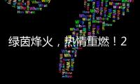 綠茵烽火，熱情重燃！2024中國網(wǎng)絡(luò)媒體足球精英賽開幕