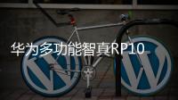 華為多功能智真RP100