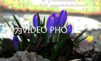 華為VIDEO PHONE8950
