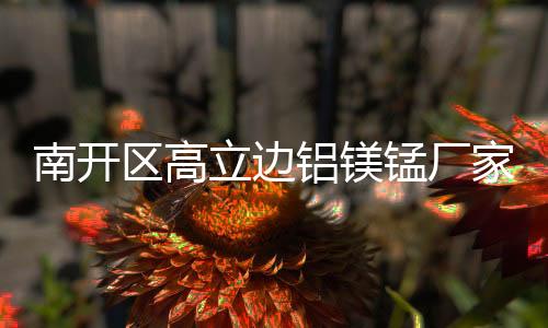 看得清 19點(diǎn)直線訓(xùn)練