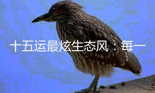 十五運(yùn)最炫生態(tài)風(fēng)：每一頭白海豚，都是游動(dòng)的GDP