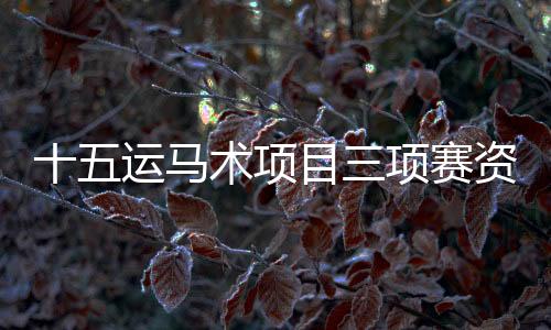 十五運馬術(shù)項目三項賽資格賽落幕 陜西隊晉級決賽