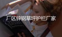 廠區(qū)鋅鋼草坪護(hù)欄廠家