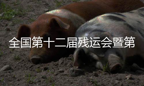 全國第十二屆殘運(yùn)會暨第九屆特奧會高山滑雪比賽將在烏魯木齊舉辦