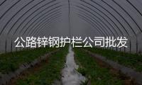 公路鋅鋼護(hù)欄公司批發(fā)