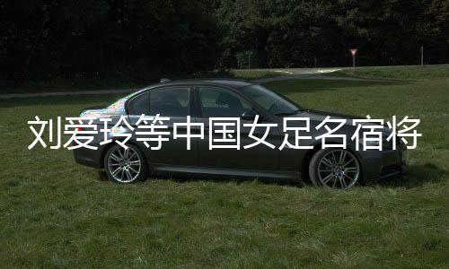 劉愛(ài)玲等中國(guó)女足名宿將亮相廣西大化