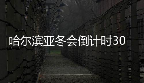 哈爾濱亞冬會(huì)倒計(jì)時(shí)30天：冰雪同夢(mèng)亞洲共期待