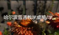 哈爾濱普通教學(xué)桌椅/學(xué)生學(xué)習(xí)桌椅/中信辦公出品