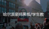 哈爾濱豪鳴黑板/學(xué)生教學(xué)黑板/中信辦公出品
