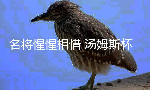 名將惺惺相惜 湯姆斯杯桃田賢斗與安賽龍互道祝福