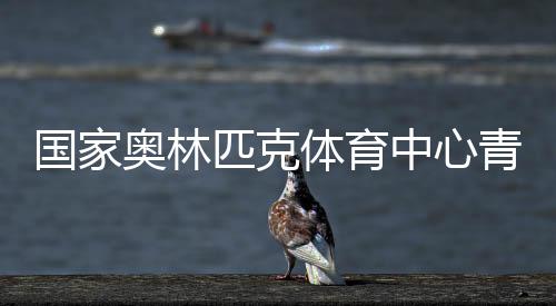 國家奧林匹克體育中心青年支教團(tuán)隊(duì)來桑植縣開展幫扶支教活動(dòng)
