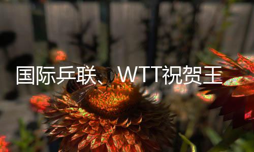 國(guó)際乒聯(lián)、WTT祝賀王勵(lì)勤當(dāng)選中國(guó)乒協(xié)主席 向劉國(guó)梁致謝