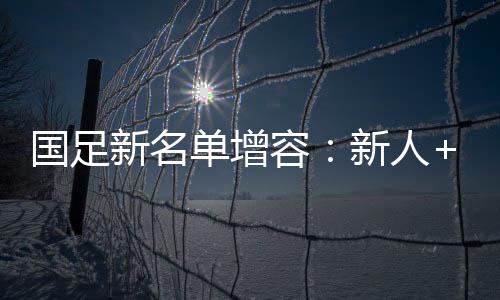 國(guó)足新名單增容：新人+歸化 31人入選“伊萬(wàn)一期”