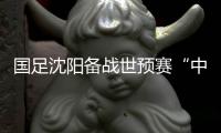 國(guó)足沈陽(yáng)備戰(zhàn)世預(yù)賽“中泰之戰(zhàn)” 伊帥:傷病不是前進(jìn)路上的“絆腳石”