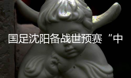 國足沈陽備戰(zhàn)世預賽“中泰之戰(zhàn)” 伊帥:傷病不是前進路上的“絆腳石”