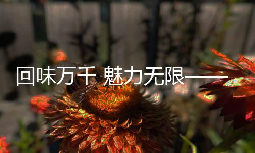 回味萬(wàn)千 魅力無(wú)限——三位匈牙利體育人的成都記憶