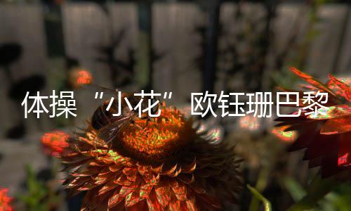 體操“小花”歐鈺珊巴黎留憾 母親:她從沒打過退堂鼓