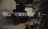 何以“可愛到發(fā)芽”？——十五運會吉祥物誕生記