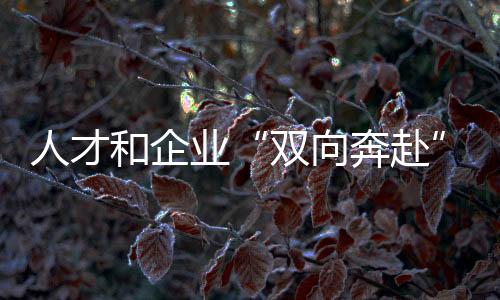 人才和企業(yè)“雙向奔赴”！全國(guó)青年職業(yè)技能大賽學(xué)生組決賽閉幕