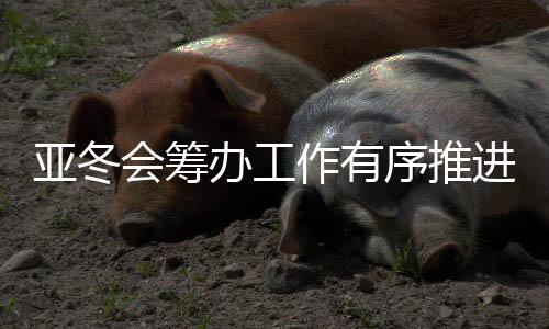 亞冬會(huì)籌辦工作有序推進(jìn) 比賽場(chǎng)館進(jìn)行實(shí)戰(zhàn)化測(cè)試演練