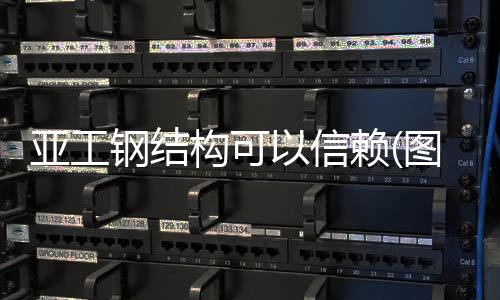 TPR耐斯寵物玩具塑料加工