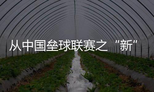 從中國(guó)壘球聯(lián)賽之“新” 看國(guó)內(nèi)壘球發(fā)展沉淀之“果”