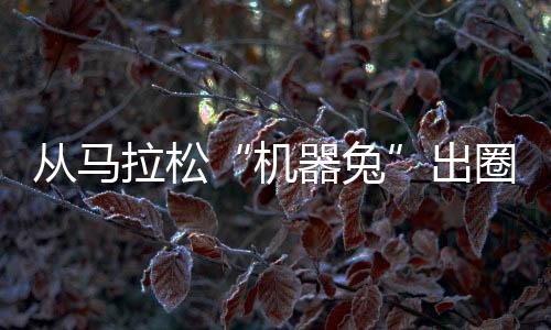 從馬拉松“機(jī)器兔”出圈 洞見中國體育科技新活力