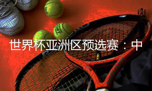 世界杯亞洲區(qū)預(yù)選賽：中國隊與新加坡隊舉行賽前新聞發(fā)布會