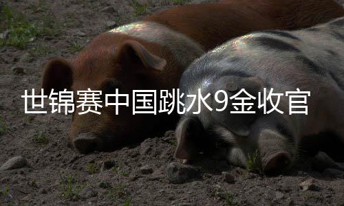 世錦賽中國(guó)跳水9金收官 奧運(yùn)項(xiàng)目接連丟冠敲警鐘