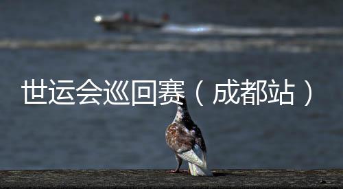 世運(yùn)會(huì)巡回賽（成都站）收官 IWGA主席：成都已經(jīng)準(zhǔn)備好了