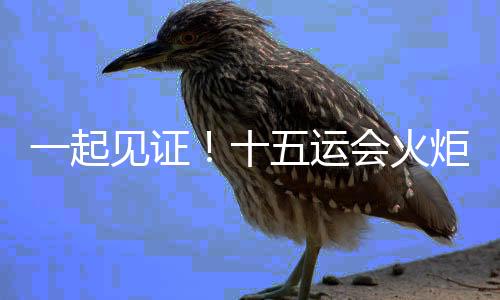 一起見(jiàn)證！十五運(yùn)會(huì)火炬?zhèn)鬟f啟動(dòng)儀式在深圳舉行