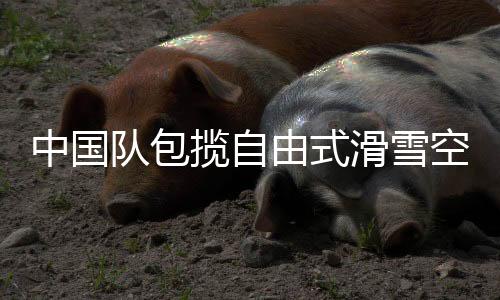 中國隊包攬自由式滑雪空中技巧世界杯云頂站混合團(tuán)體金銀牌