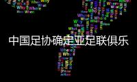中國(guó)足協(xié)確定亞足聯(lián)俱樂部賽事名額分配原則