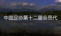 中國(guó)足協(xié)第十二屆會(huì)員代表大會(huì)第三次會(huì)議在京召開
