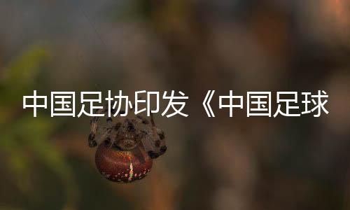 中國(guó)足協(xié)印發(fā)《中國(guó)足球協(xié)會(huì)誠(chéng)信專(zhuān)員管理辦法（試行）》