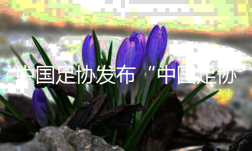 中國足協(xié)發(fā)布“中國足協(xié)球員自薦系統(tǒng)” 自薦、選拔如何進行？