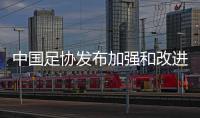 中國足協發(fā)布加強和改進足球裁判公正執(zhí)裁的若干措施