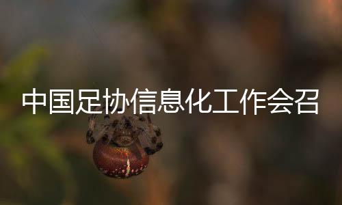 中國足協(xié)信息化工作會召開 努力實(shí)現(xiàn)“全國一盤棋”治理