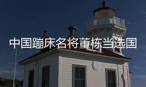 中國蹦床名將董棟當(dāng)選國際體操聯(lián)合會運(yùn)動員委員會委員