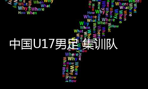 中國U17男足 集訓(xùn)隊(duì)名單公布 河南星途前鋒張伯霖入選