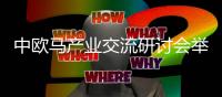 中歐馬產(chǎn)業(yè)交流研討會(huì)舉辦 李耀鋒分享馬術(shù)傳承感悟